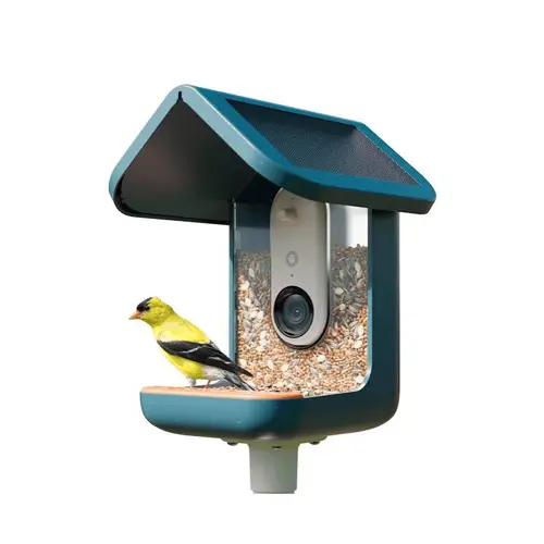 Birdbuddy Pro Solar