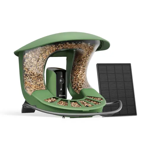 Birdfy Feeder 2