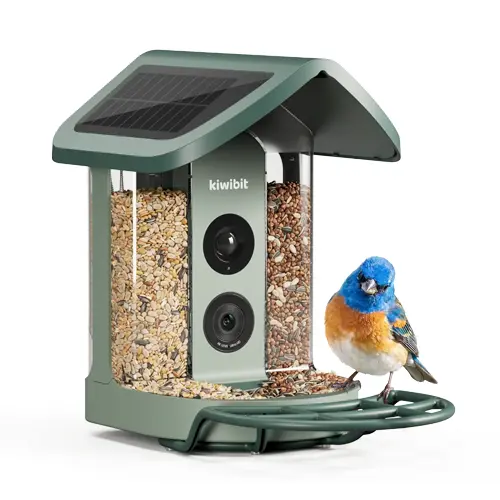Kiwibit Bird Feeder 2